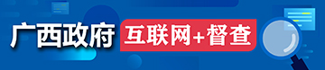 广西政府“互联网+督查”平台