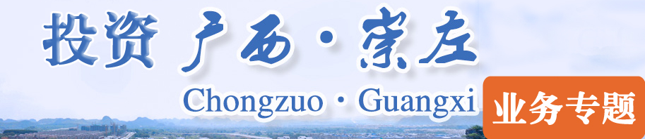 投资崇左